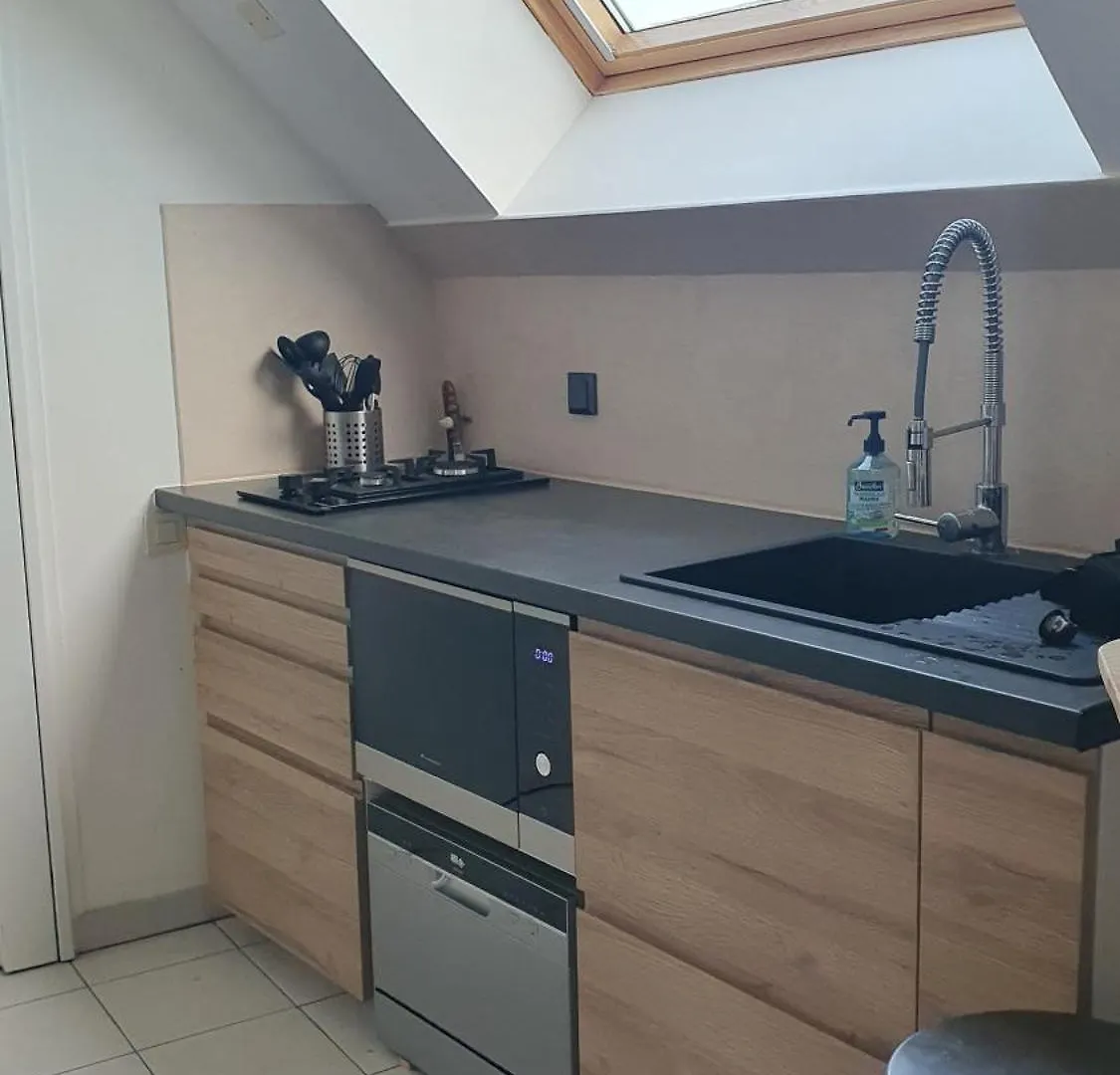 Appt T1 Lyon 3 - 7Eme Ciel Apartment France